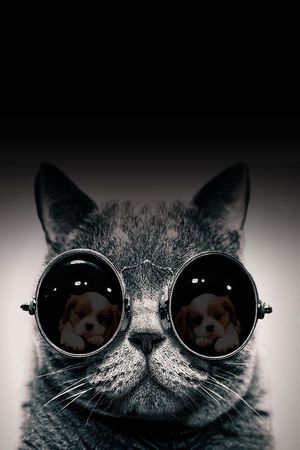 T恤衫 数码 画稿印花华亿平台图片