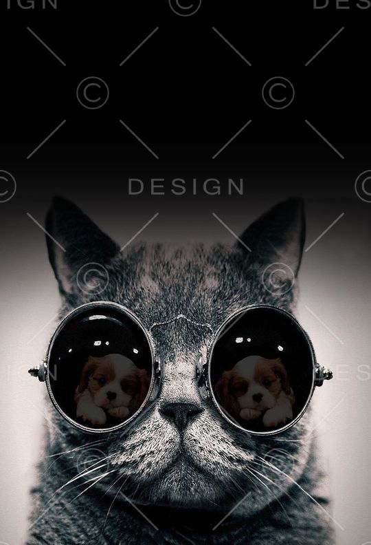 T恤衫 数码 画稿印花华亿平台图片