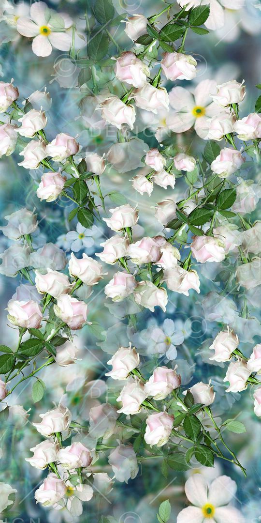 清新印花华亿平台图片