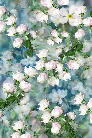 清新印花华亿平台图片