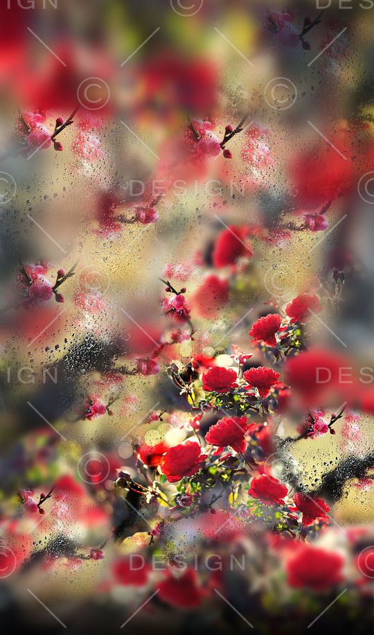 滤色花卉印花华亿平台图片