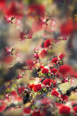 滤色花卉印花华亿平台图片