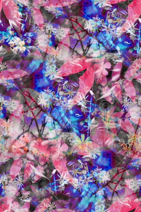 时尚印花华亿平台图片