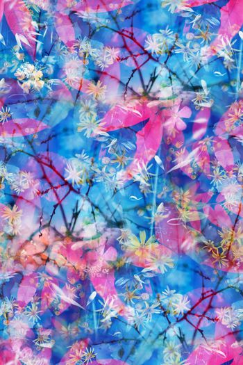 413326-时尚春夏女装