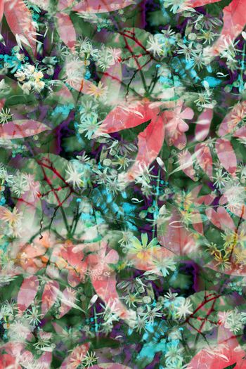 413327-时尚春夏女装