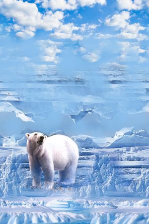 冰川印花华亿平台图片