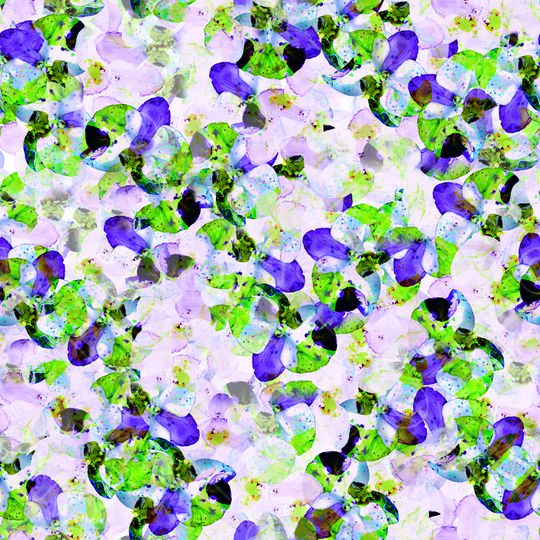 蝴蝶花印花华亿平台图片