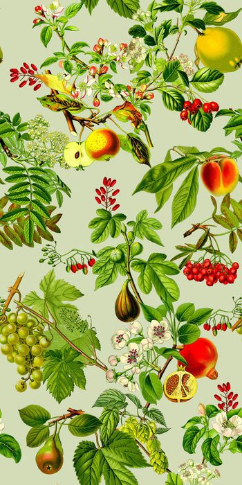 413504-热带风情春夏手绘水果植物组合女装花