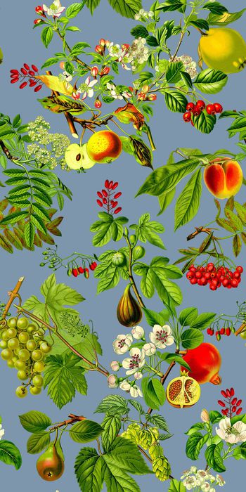 413505-热带风情春夏手绘水果植物组合女装花