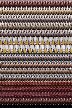 渐变手绘羽毛印花华亿平台图片