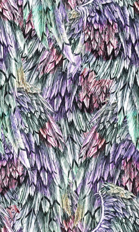 羽毛印花华亿平台图片