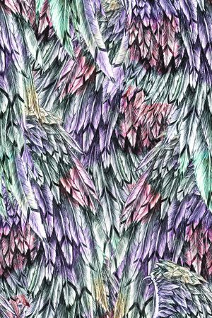 羽毛印花华亿平台图片