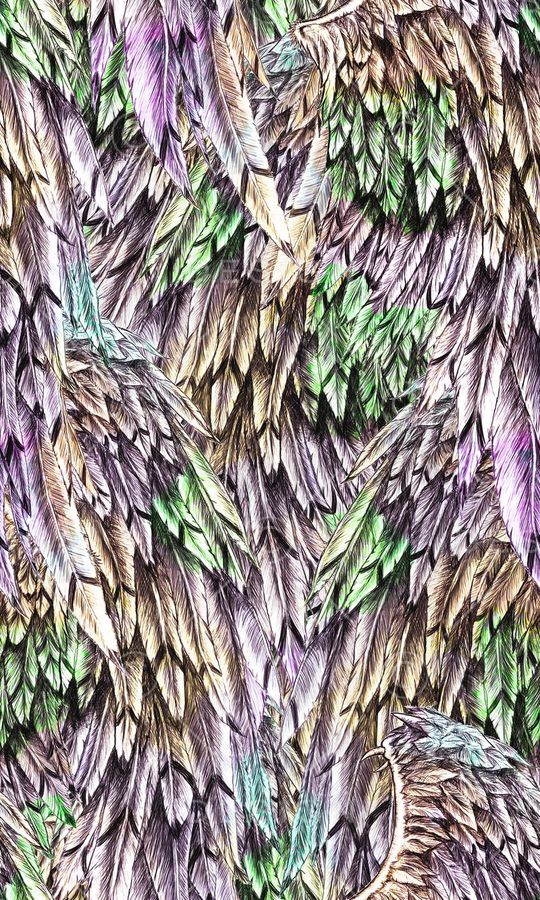 羽毛印花华亿平台图片