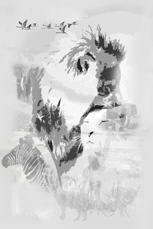 动物印花华亿平台图片