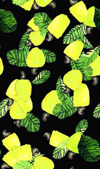 413627-热带花卉植物