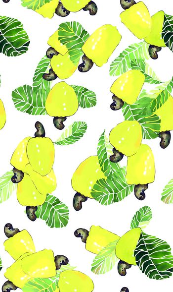 413628-热带花卉植物