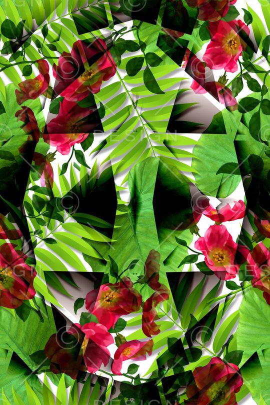 植物叶子印花华亿平台图片