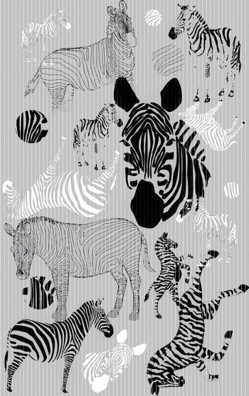 413736-斑马2