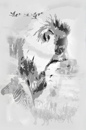 动物印花华亿平台图片