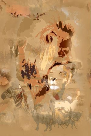 动物印花华亿平台图片