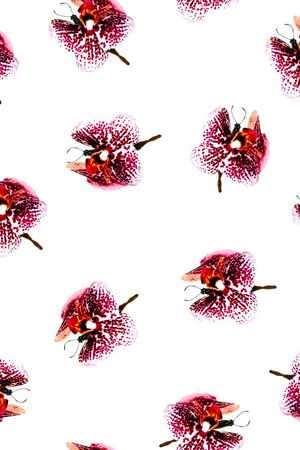 花印花华亿平台图片