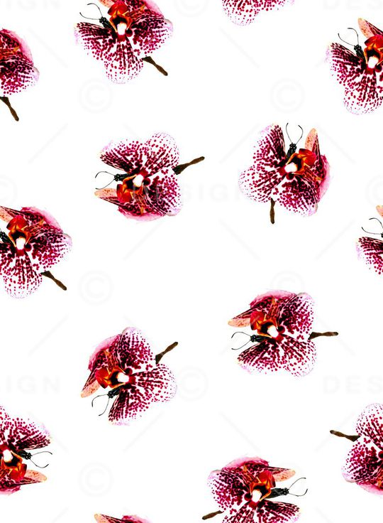 花印花华亿平台图片