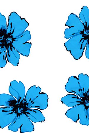 蓝花：上衣印花华亿平台图片