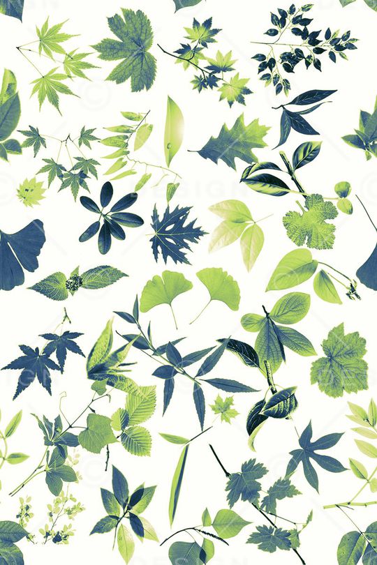 休闲印花华亿平台图片