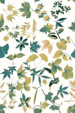 休闲印花华亿平台图片