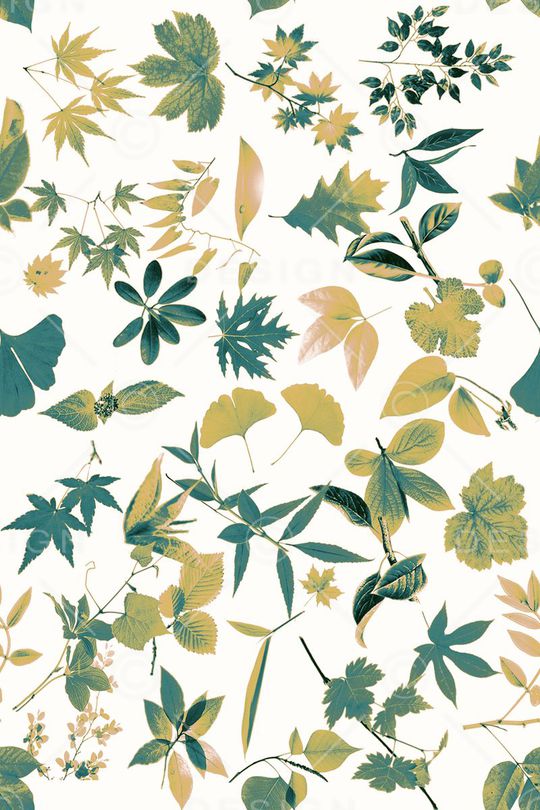 休闲印花华亿平台图片