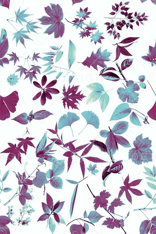 休闲印花华亿平台图片