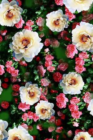 复古印花华亿平台图片