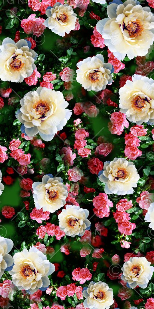 复古印花华亿平台图片