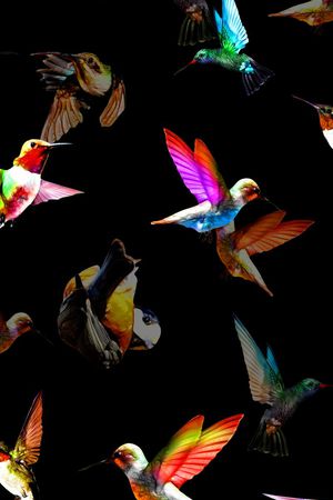 时尚炫丽印花华亿平台图片