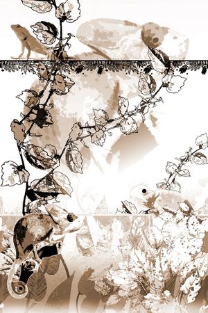 热带风情印花华亿平台图片