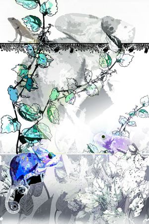 热带风情印花华亿平台图片