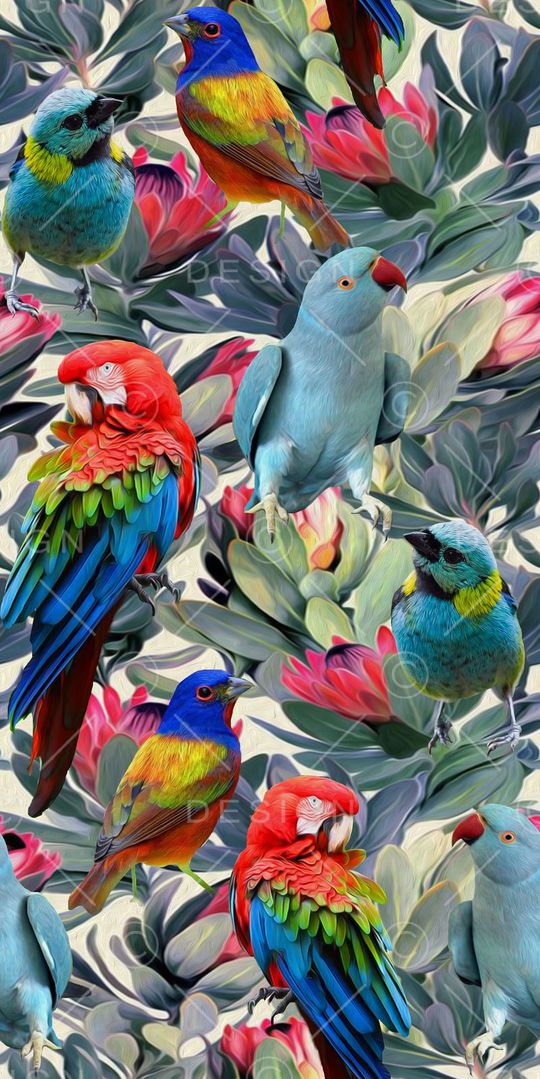 热带 植物 热带鸟印花华亿平台图片