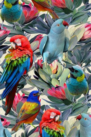 热带 植物 热带鸟印花华亿平台图片