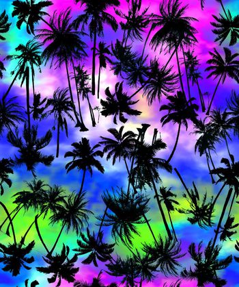 414249-彩色背景椰樹