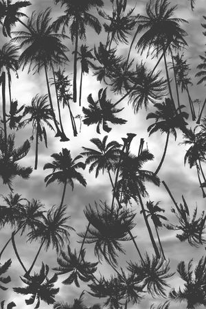 彩色椰树印花华亿平台图片