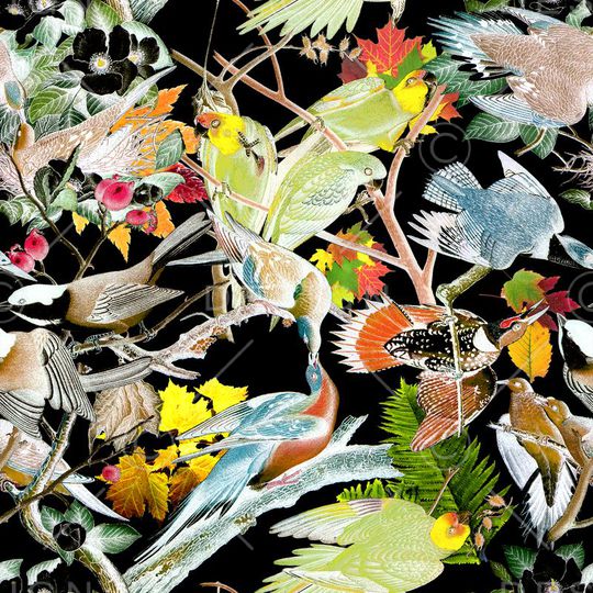 动物印花华亿平台图片