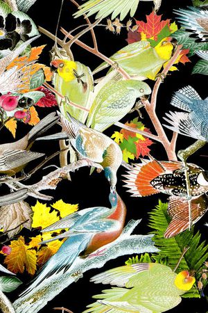 动物印花华亿平台图片