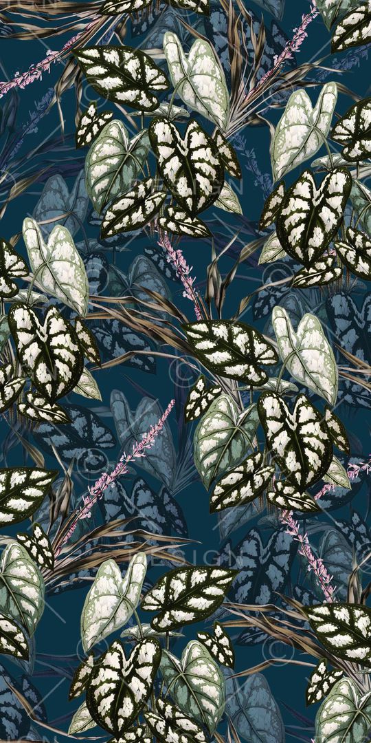 热带印花华亿平台图片