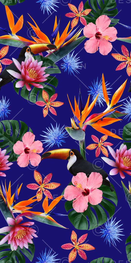 热带印花华亿平台图片