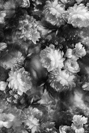 男装华亿平台印花华亿平台图片