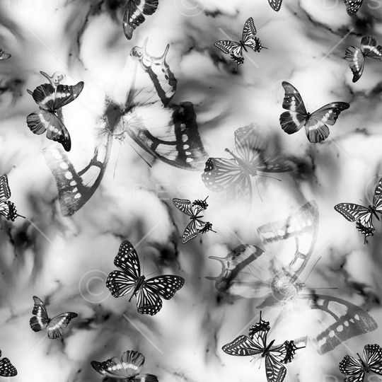 男装、动物印花华亿平台图片