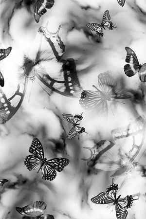 男装、动物印花华亿平台图片