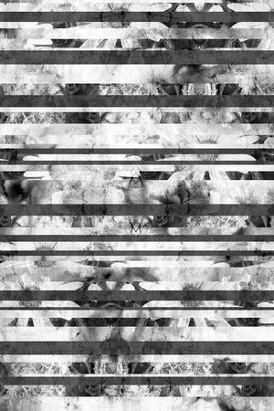 男装、条纹印花华亿平台图片