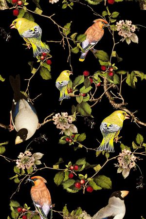 动物印花华亿平台图片