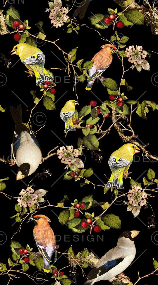 动物印花华亿平台图片